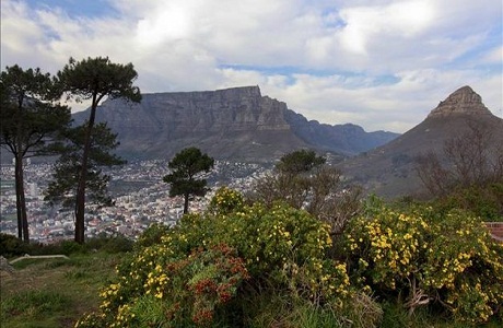 Ciudad del Cabo fue designada Capital Mundial del Diseño 2014
